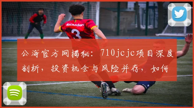 公海官方网揭秘：710jcjc项目深度剖析，投资机会与风险并存，如何规避