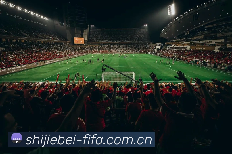 FIFA世界杯平台生态图